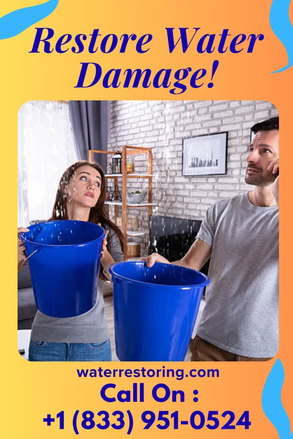 water restoration Total Water Repair Group Tecumseh