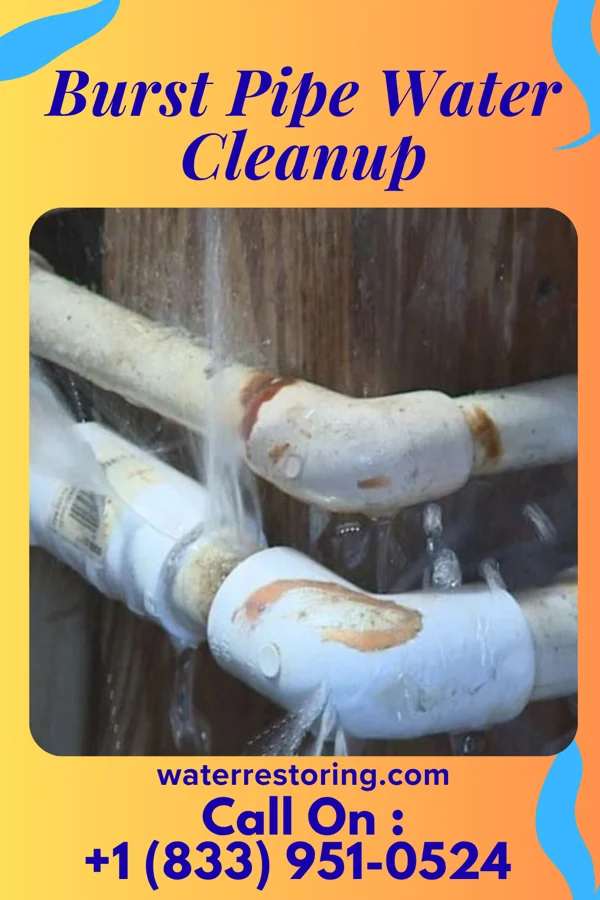 Burst Pipe Water Cleanup in Tecumseh, OK